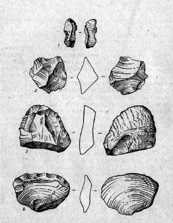 1 - пластинка с выемкой, 2 - нуклеус, 3,4 - скребки (из коллекции МАЭ)